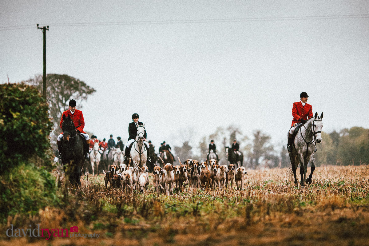 horses with hounds